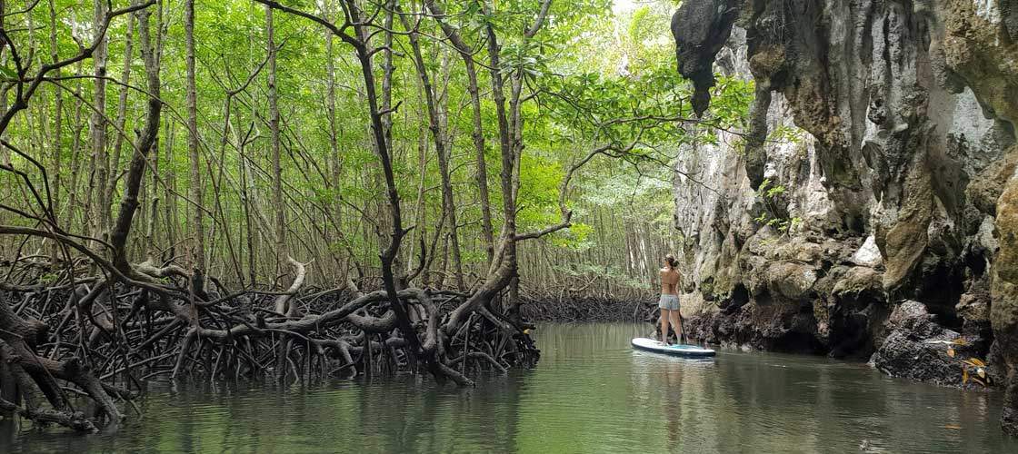 Ao Thalane mangrove SUP